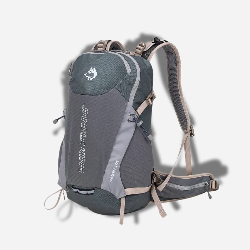 Sac à dos 35 litres voyage Gris Dailysac