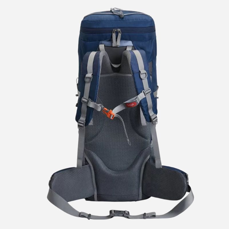 Sac à dos voyage 60l Dailysac