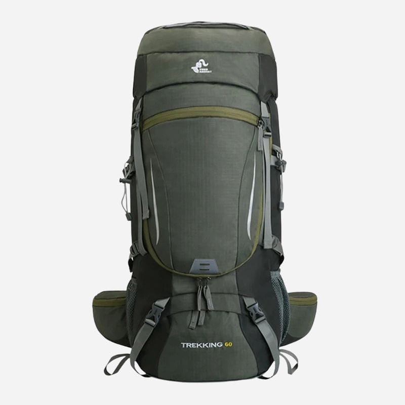 Sac à dos voyage 60l Vert Dailysac