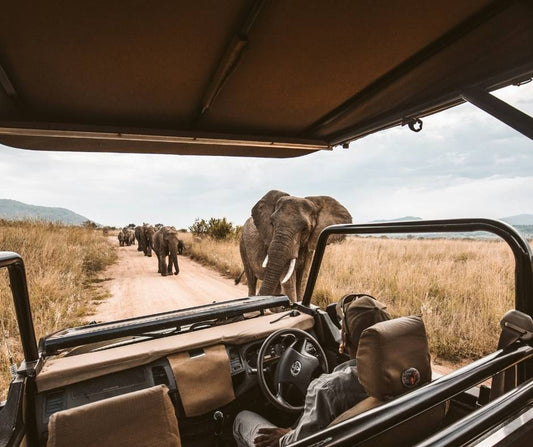 Quel Sac de Voyage Choisir pour un Safari 