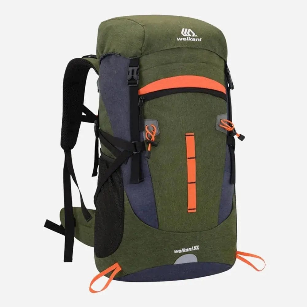 Sac à dos voyage 50l Vert Dailysac