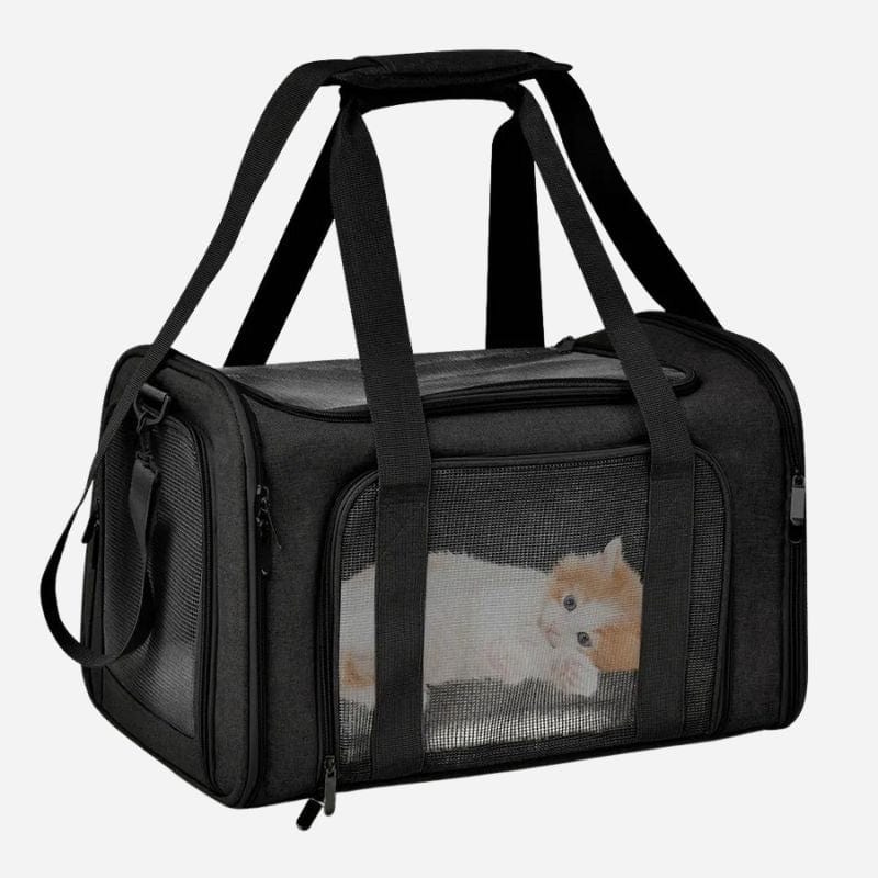 Sac de voyage animaux Noir / L (50x34x34cm) Dailysac