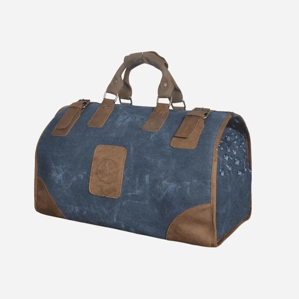 Sac de voyage bagage cabine Bleu Dailysac