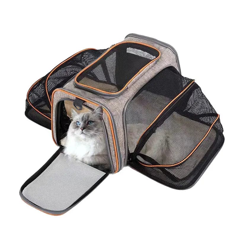 Sac de voyage pour chat en avion Dailysac