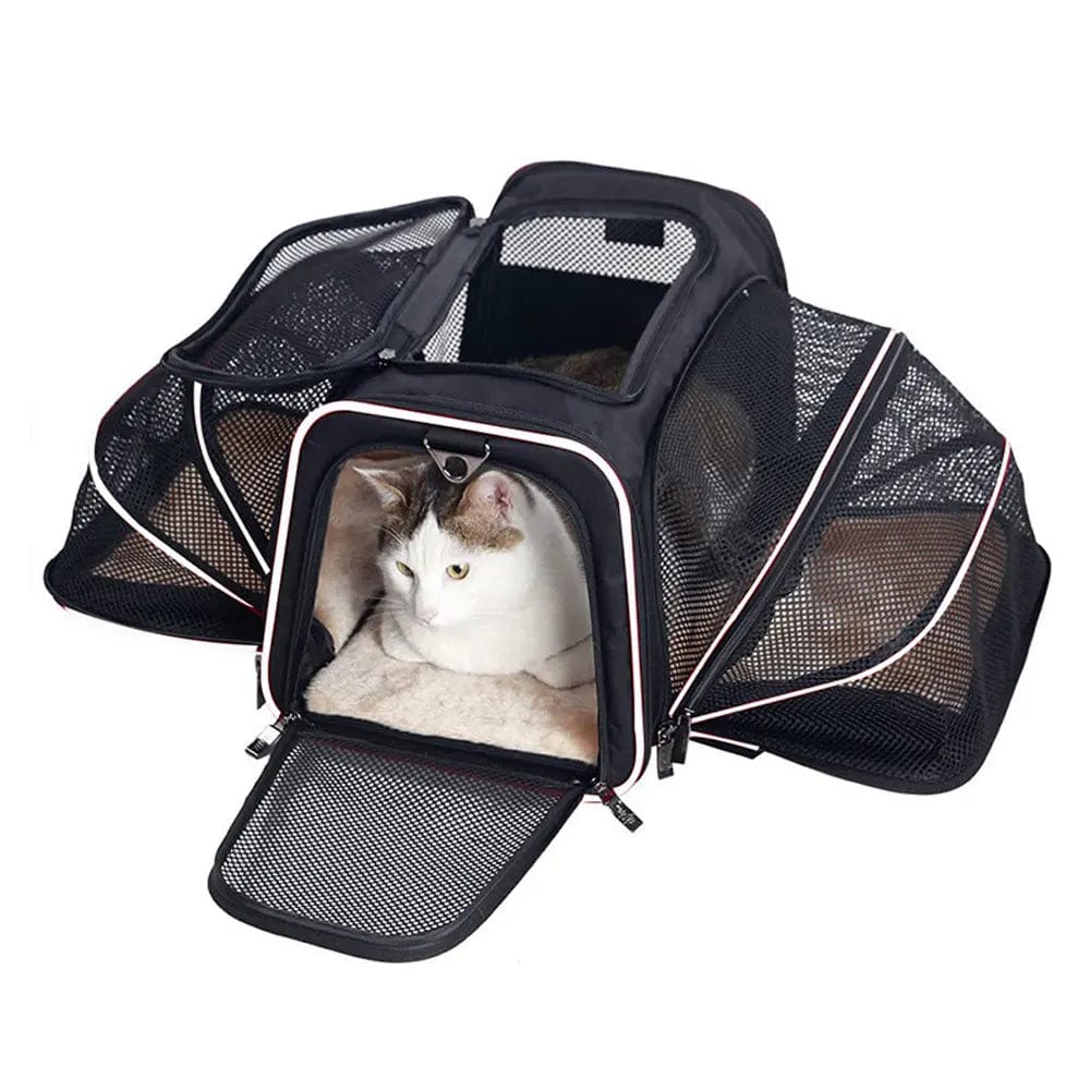 Sac de voyage pour chat en avion Dailysac