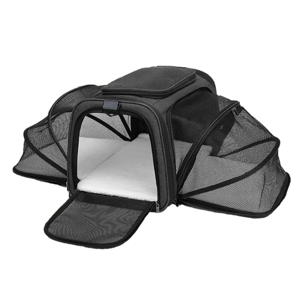 Sac de voyage pour chat en avion Noir / M Dailysac