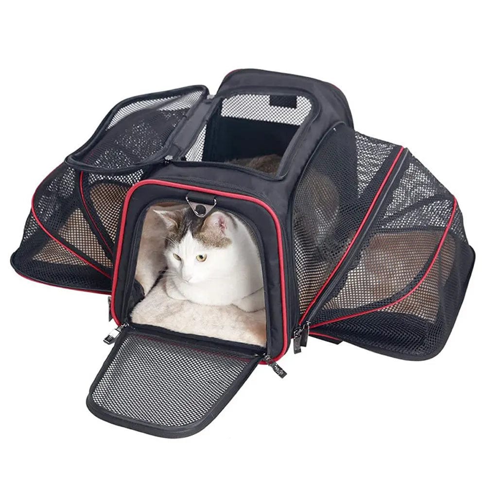 Sac de voyage pour chat en avion Rouge / S Dailysac