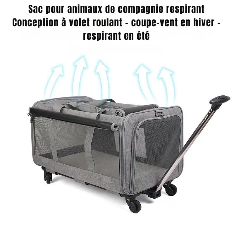 Sac de voyage pour chien à roulettes Dailysac